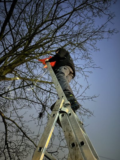 Weihnachtsmarkt 2025